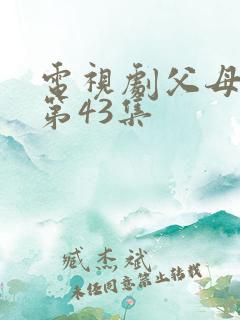 电视剧父母爱情第43集