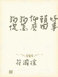 狗狗仰头呼吸急促怎么回事