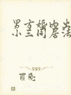 男方婚内出轨与小三同居法律怎么判