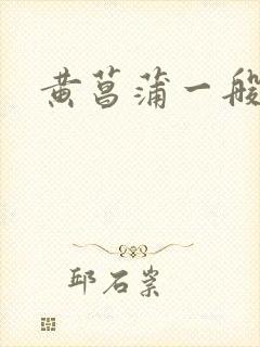 黄菖蒲一般多钱