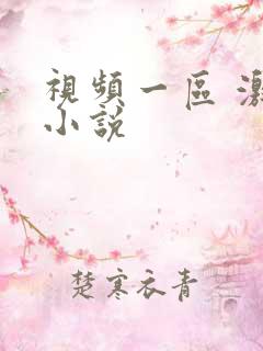 视频一区 激情小说