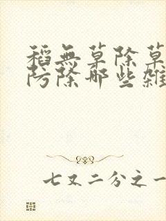稻无草除草剂能防除哪些杂草