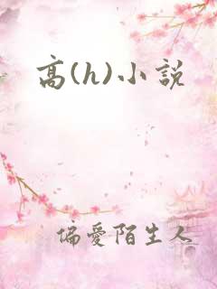 高(h)小说