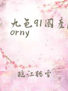 九色91国产porny