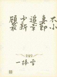 顾少追妻不要脸最新章节小说免费阅读