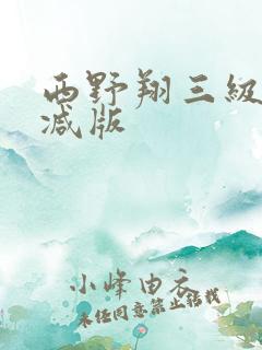 西野翔三级无删减版