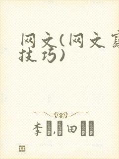 网文(网文写作技巧)