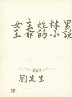 女主姓林男主是王爷的小说