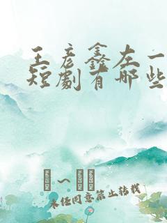 王彦鑫左一演的短剧有哪些