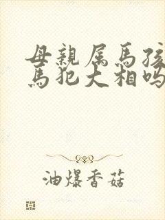 母亲属马孩子属马犯大相吗