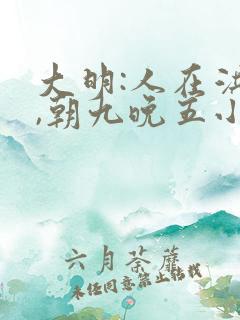 大明:人在洪武,朝九晚五小说免费全集