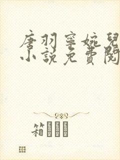 唐羽宁婉儿穿越小说免费阅读