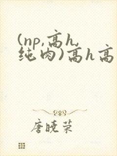 (np,高h,纯肉)高h高辣文