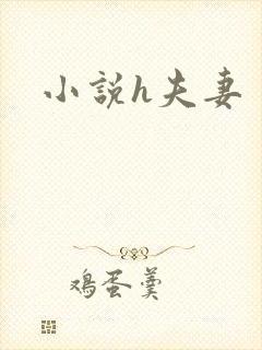 小说h夫妻