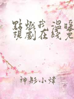 点燃我温暖你电视剧在线免费观看
