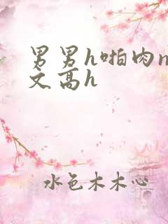 男男h啪肉np文高h