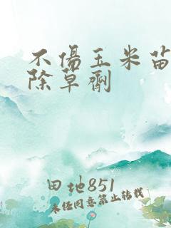 不伤玉米苗专用除草剂