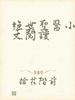 绝世圣医小说全文阅读