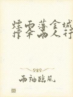 烟雨落金城一人撑伞两人行啥意思