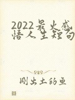 2022最火感悟人生短句