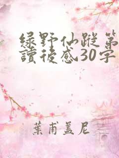 绿野仙踪第一章读后感30字