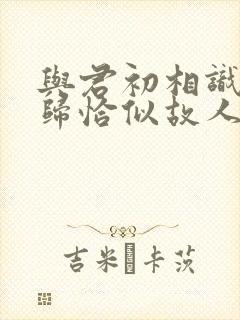 与君初相识故人归恰似故人归在线播放