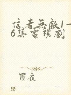 信者无敌1—46集电视剧