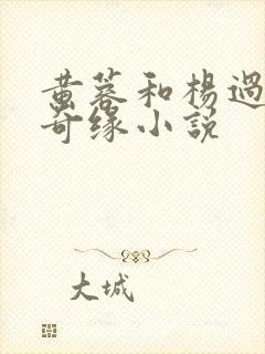 黄蓉和杨过荒岛奇缘小说