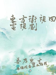 东方卫视回看 电视剧