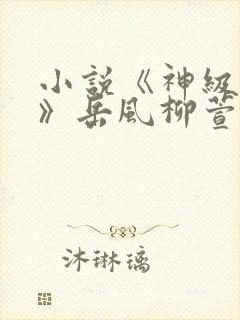 小说《神级狂婿》岳风柳萱