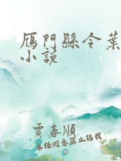 雁门县令叶青的小说