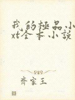 我的极品小姨txt全本小说