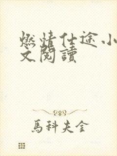 燃情仕途小说全文阅读