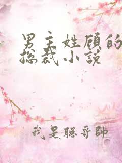 男主姓顾的现代总裁小说