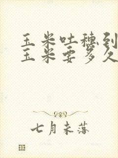 玉米吐穗到吃嫩玉米要多久