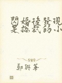 闪婚后发现老公是总裁的小说