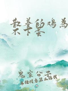 散养的鸡为什么不下蛋