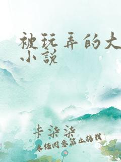 被玩弄的大小姐小说