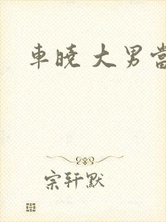 车晓 大男当婚