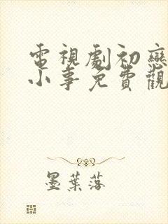 电视剧初恋那件小事免费观看