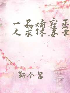 一品娇宠丞相大人求休妻笔趣阁