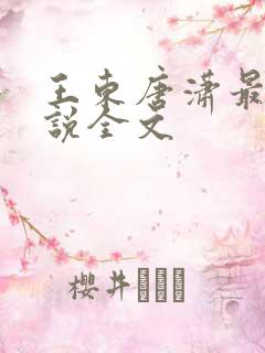 王东唐潇最新小说全文