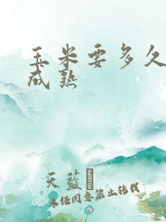 玉米要多久才能成熟