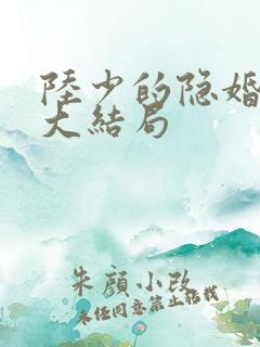 陆少的隐婚罪妻大结局