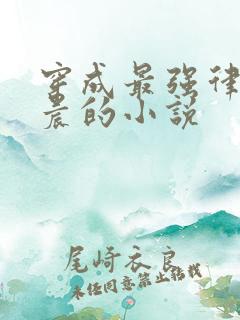 穿成最强律师顾晨的小说