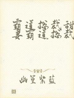霸道总裁甜蜜宠妻霸道总裁