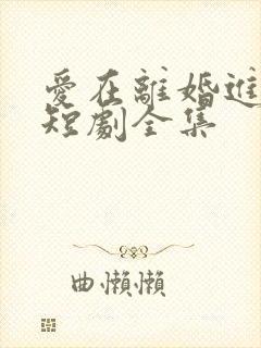 爱在离婚进行时短剧全集