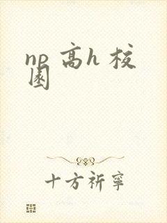 np 高h 校园