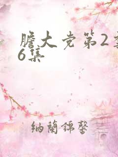 胆大党第2季第6集 胆大党第2季第6集