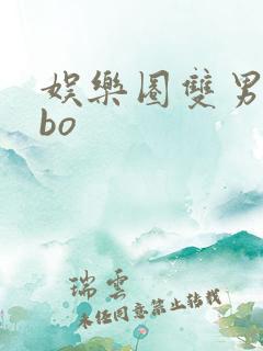 娱乐圈双男主abo